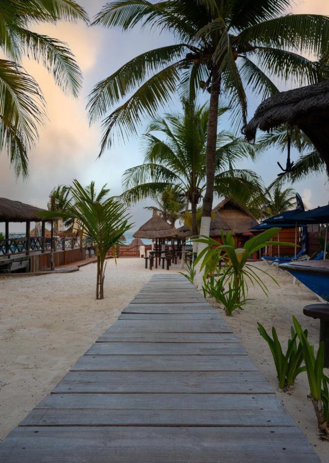 The Diving Lodge Downtown Puerto Morelos Ngoại thất bức ảnh