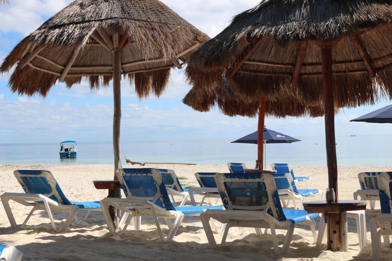 The Diving Lodge Downtown Puerto Morelos Ngoại thất bức ảnh