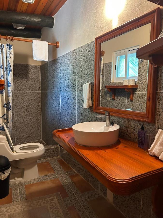 The Diving Lodge Downtown Puerto Morelos Ngoại thất bức ảnh
